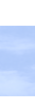 Zaunelement 298