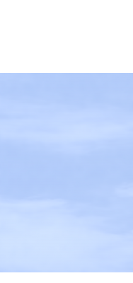 Zaunelement 58596