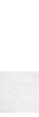 Zaunelement 58637