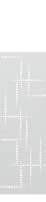 Zaunelement 60545