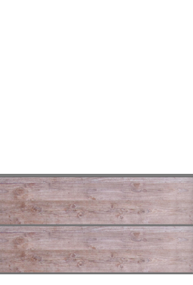 Zaunelement 60909