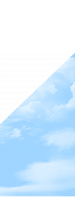 Zaunelement 688