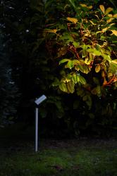 LCD Erdspießstrahler 026 Edelstahl | Leuchten | MESEM.de