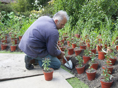 Sneeboer Staudenspaten Great Dixter 4044