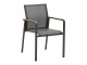 Zebra Bee Sessel graphite Armlehnen Teak