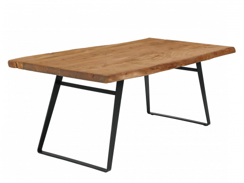 Niehoff Santos Wald-Designtisch 180cm