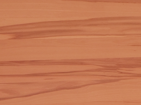 Niehoff Colorado Armlehnstuhl 742, Kernbuche, Microfaser Nirvana braun