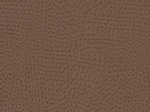 Niehoff Colorado Armlehnstuhl 742, Kernbuche, Microfaser Nirvana braun