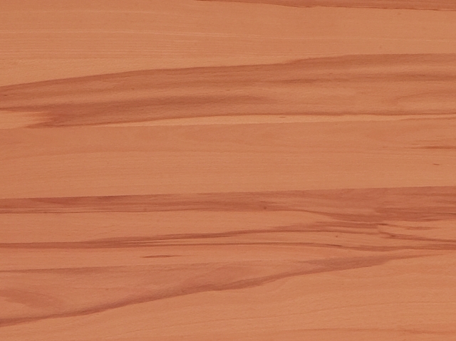 Niehoff Colorado Armlehnstuhl 742, Kernbuche, Microfaser Nirvana braun