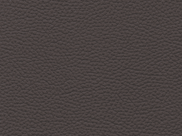 Niehoff Colorado Stuhl 741, Wildeiche, Microfaser Atlantis anthrazit