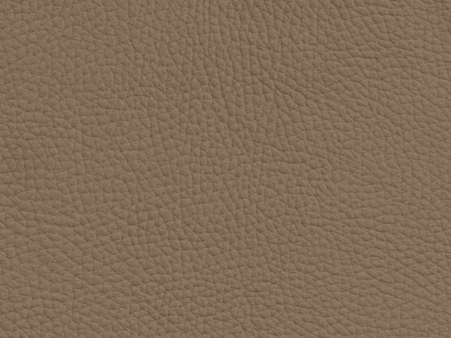 Niehoff Colorado Stuhl 741, Wildeiche, Leder Napoli stone