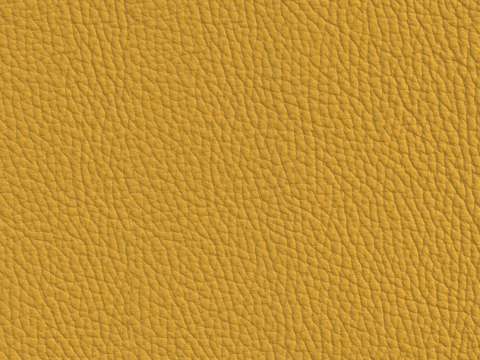 Niehoff Colorado Stuhl 741, Wildeiche, Leder Napoli senf