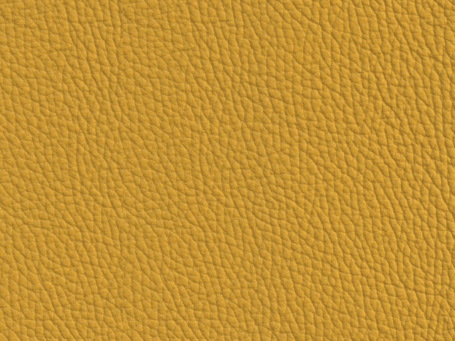 Niehoff Colorado Stuhl 741, Wildeiche, Leder Napoli senf