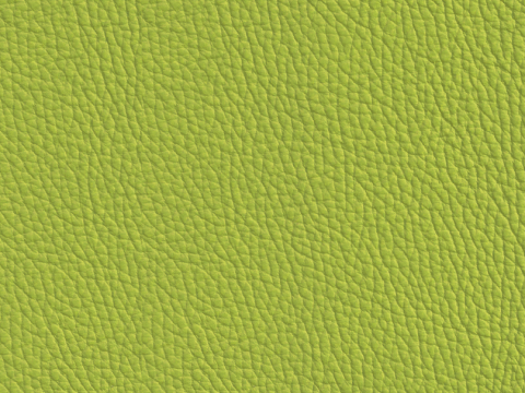 Niehoff Colorado Stuhl 741, Wildeiche, Leder Napoli apple