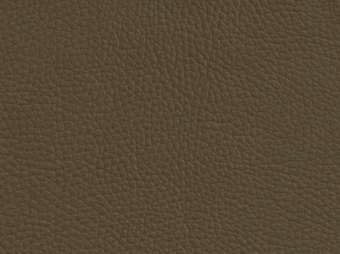 Niehoff Colorado Stuhl 741, Eiche bianco, Leder Napoli olivgrn
