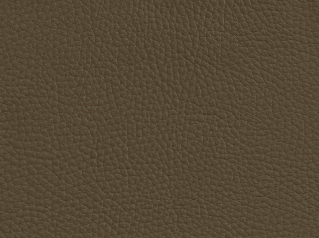 Niehoff Colorado Stuhl 741, Eiche bianco, Leder Napoli olivgrn
