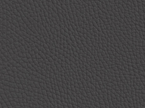 Niehoff Colorado Stuhl 741, Eiche bianco, Leder Napoli anthrazit