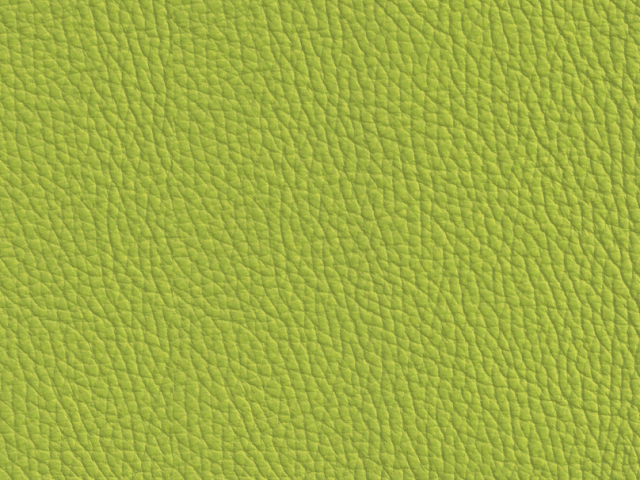 Niehoff Colorado Stuhl 741, Wild-Nussbaum, Leder Napoli apple