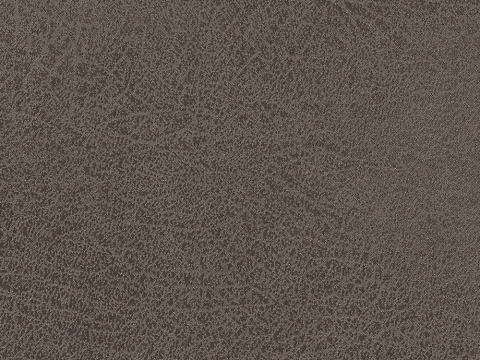 Niehoff Top-Chairs Polsterstuhl Kernbuche, Microfaser Campo graphit