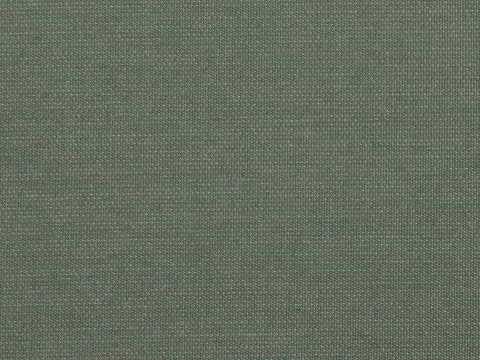 Niehoff Pino Designstuhl, grn
