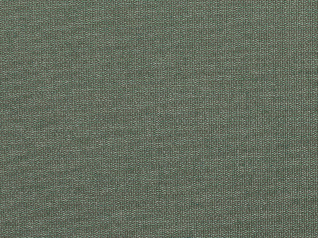 Niehoff Pino Designstuhl, grn