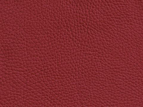 Niehoff Colorado Stuhl AL 342, 4-Fu Quadratrohr Leder rubin