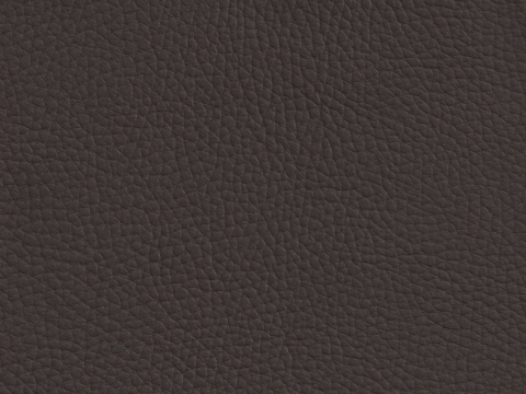 Niehoff Colorado Stuhl AL 552, 4-Fu Rundrohr Leder mocca