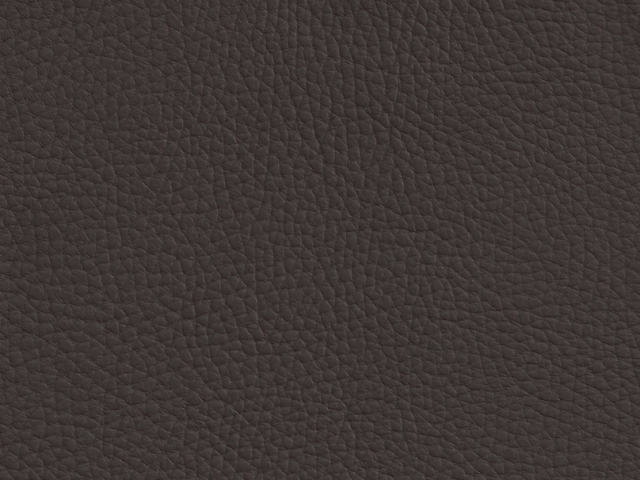 Niehoff Colorado Stuhl AL 552, 4-Fu Rundrohr Leder mocca