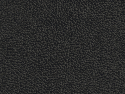 Niehoff Colorado Schwingstuhl AL 152, Flachstahl Leder schwarz