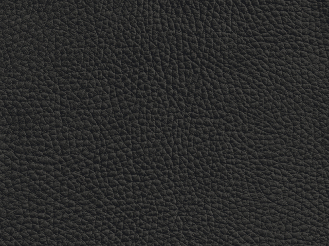 Niehoff Colorado Schwingstuhl AL 152, Flachstahl Leder schwarz
