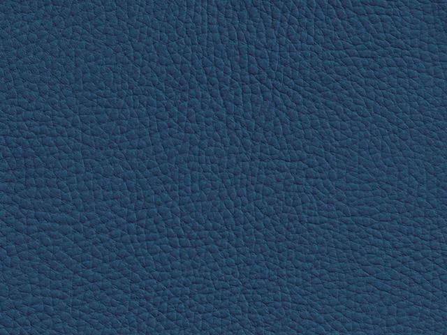 Niehoff Colorado Stuhl 751, Wildeiche, Leder Napoli atlantic