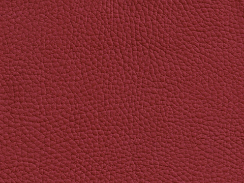 Niehoff Colorado Stuhl 751, Wildeiche, Leder Napoli rubin