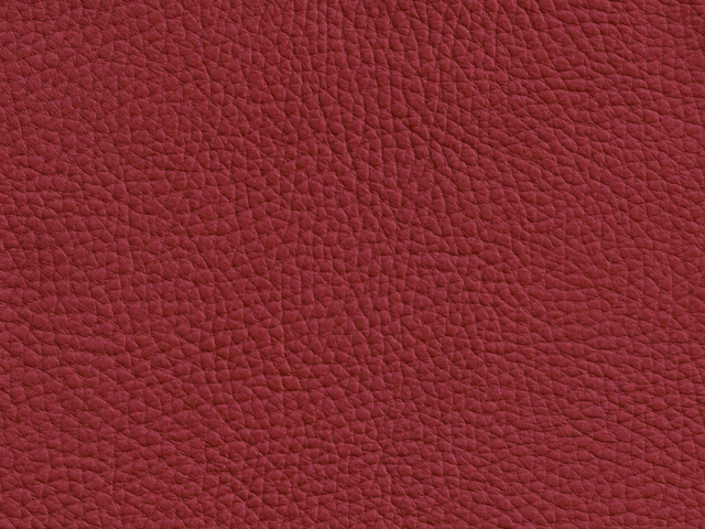 Niehoff Colorado Stuhl 751, Wildeiche, Leder Napoli rubin