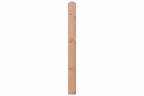 Einzelbohle Kiefer Lärchenoptik 14,5x180cm 51346
