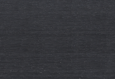 Elephant Steckzaun Set Mix and Match 180x174cm WPC Anthrazit co-extrudiert Leisten Silber