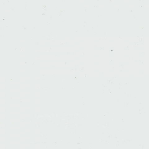 Groja BasicLine Steckzaun schmal Universal Tor 100x180cm weiß DB703